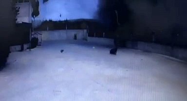 Tekirdağ'daki yağ fabrikası patlamasının görüntüleri ortaya çıktı