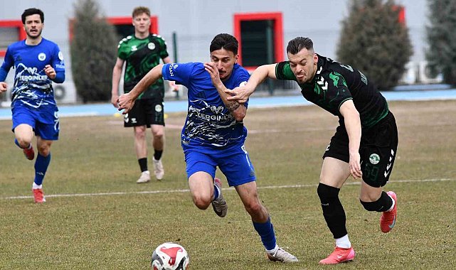 TFF 3. Lig: 2. Grup: Erciyes 38 FK: 3 - Kırşehirspor: 2