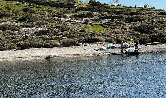 Tilkişen otu toplamaya gittiler, koyu temizlediler