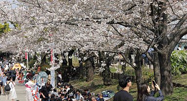 Tokyo'da Sakuralar izleyenlere görsel şölen yaşattı