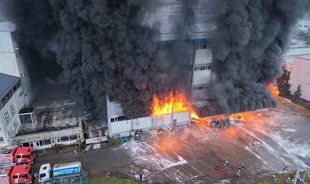 Trabzon'da fındık fabrikasında yangın