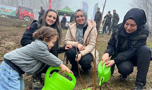 Türkeli'de yüzlerce fidan toprakla buluştu