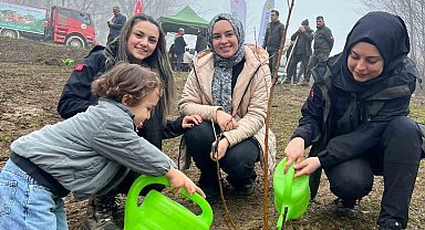 Türkeli'de yüzlerce fidan toprakla buluştu