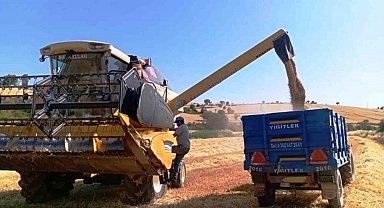 Türkiye'nin yem bitkisi ihtiyacını Samsun karşılıyor