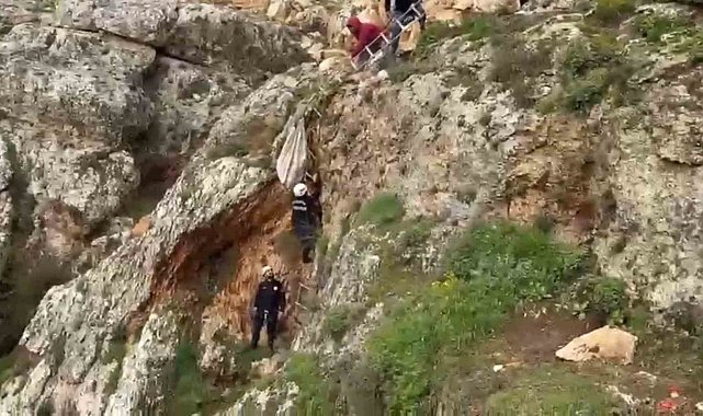 Uçurumdan düşen köpek 4 saatlik çalışmayla kurtarıldı