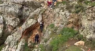 Uçurumdan düşen köpek 4 saatlik çalışmayla kurtarıldı