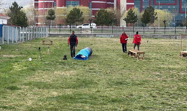 Uluslararası düzeyde alan ve enkaz arama köpekleri sınavı Afyonkarahisar'da başladı