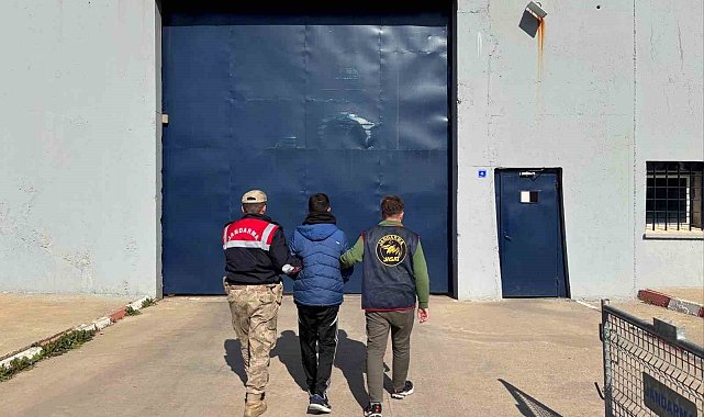 Uyuşturucu suçundan aranan şahıs Siverek'te yakalandı