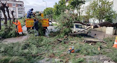 Üzerine ağaç devrilen park halindeki araç zarar gördü