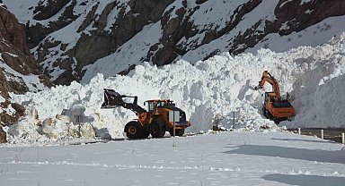 Van-Hakkari kara yolunda çığ sonrası çalışmalar sürüyor