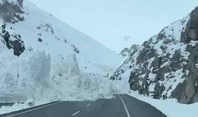 Van-Hakkari karayoluna çığ düştü