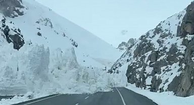 Van-Hakkari karayoluna çığ düştü