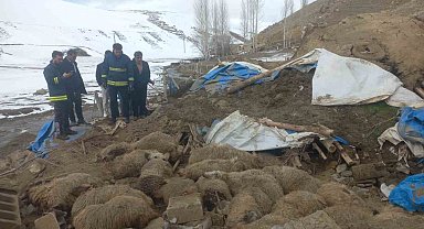 Van'da ahır çöktü, 23 küçükbaş hayvan telef oldu