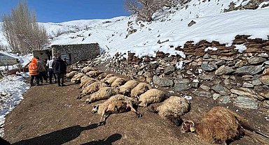 Van'da ahırda feci yangın: 67 küçükbaş hayvan telef oldu