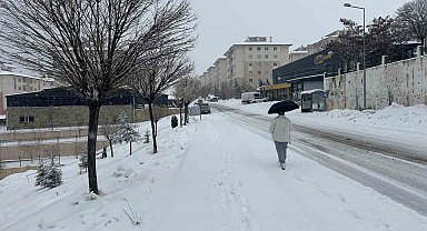 Van'da mart ayı kapıdan baktırdı: Kar yağışı ulaşımı durdurdu