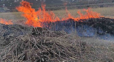 Van'ın Gevaş ilçesinde anız yangını