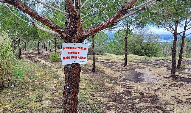 Vatandaşın ağaca astığı "Tabiat temiz kalsın" uyarısı yetmedi