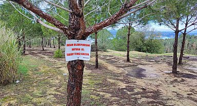 Vatandaşın ağaca astığı "Tabiat temiz kalsın" uyarısı yetmedi