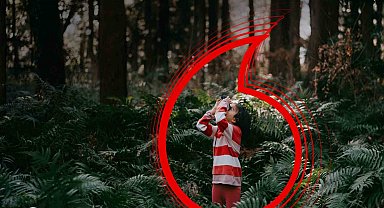 Vodafone Türkiye'nin karbon emisyonu 5 yılda yüzde 94,77 azaldı