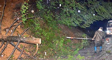 Yağış ağaçları devirdi, yol kısa sürede açıldı