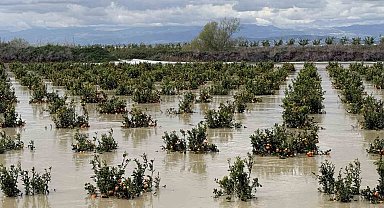 Yağışlar tarım arazilerini vurdu