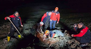 Yalova'da bataklıkta mahsur kalan vatandaş ve büyükbaş hayvanı kurtarıldı