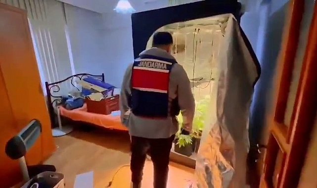Yalova'da evinde uyuşturucu yetiştiren şüpheli yakalandı