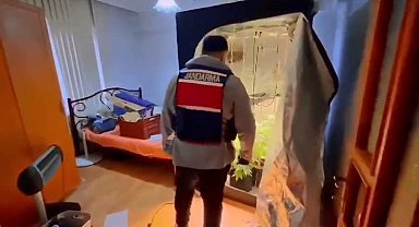 Yalova'da evinde uyuşturucu yetiştiren şüpheli yakalandı