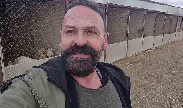 Yavru kangal gönlünü Sibirya kurduna kaptırdı