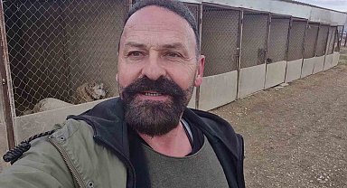 Yavru kangal gönlünü Sibirya kurduna kaptırdı