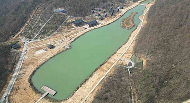 Yaylagöl kamp merkezinde inceleme