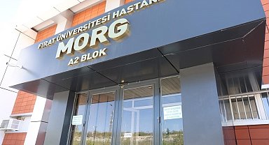 Yeğeni tarafından darbedilen yaşlı adam hayatını kaybetti