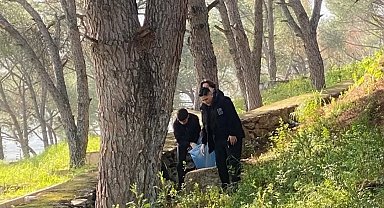 Yenipazar'da öğrencilerden doğaya sahip çıktı