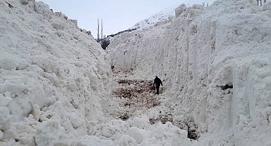 Yüksekova'da çığ meyve bahçelerini yuttu: Köy yolu kar tünelleriyle açılıyor