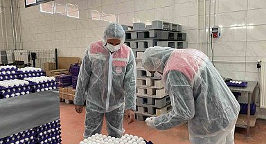 Yumurta paketlemesi yapan işletmelere yönelik denetim