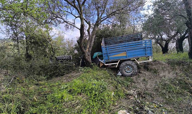 Zeytin bahçesine uçan patpatın sürücüsü öldü