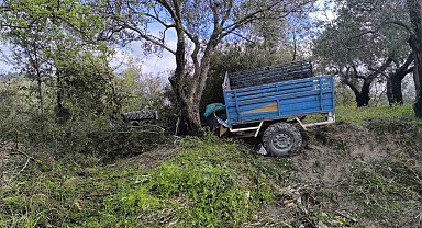 Zeytin bahçesine uçan patpatın sürücüsü öldü