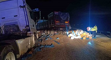 Zirai gübre yüklü tır devrildi: 1 yaralı