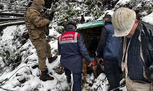 Zonguldak'ta ruhsatsız 10 maden ocağı kapatıldı