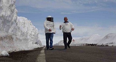 2581 rakımda arıcılardan yol açma çağrısı