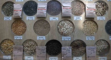 3 milyon yerel tohum dağıtıldı
