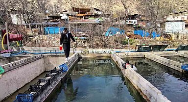 300 bin balık telef oldu; Genç girişimci ayakta kalma mücadelesi veriyor