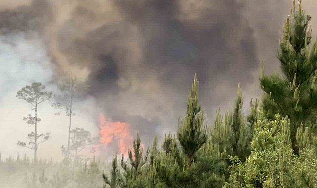 ABD'de orman yangınları: 54 ev ve 27 bin dönümlük alan küle döndü