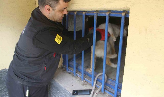 Açlıktan bitkin düşen kedi itfaiye ekiplerince kurtarıldı