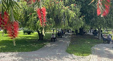 Adana'da termometreler 41 dereceyi gösterdi