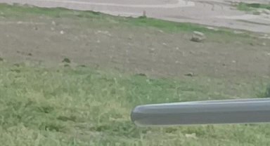 Adana'da tüfekli sopalı kavga kamerada