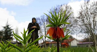 Ağlayan gelinler 5 yıl sonra baharı karşıladı