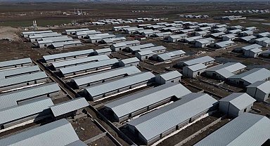 Ağrı'da 307 ahırlık hayvancılık üssü hayata geçiyor