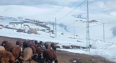 Ağrı'da Nisan ayında kar yağışı yolları kapattı