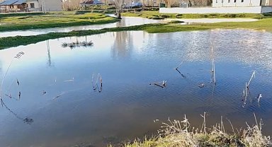 Ağrı'da sağanak nedeniyle dereler taştı